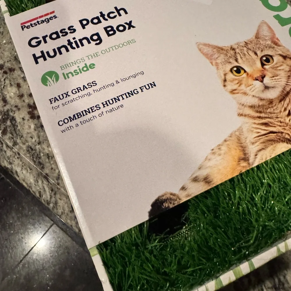 Grass Patch Hunting Box for Cats, water fountain, dry gravity feeder & toys lot